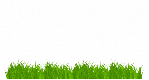 Jorge's Lawn and Landscaping LLC logo 2