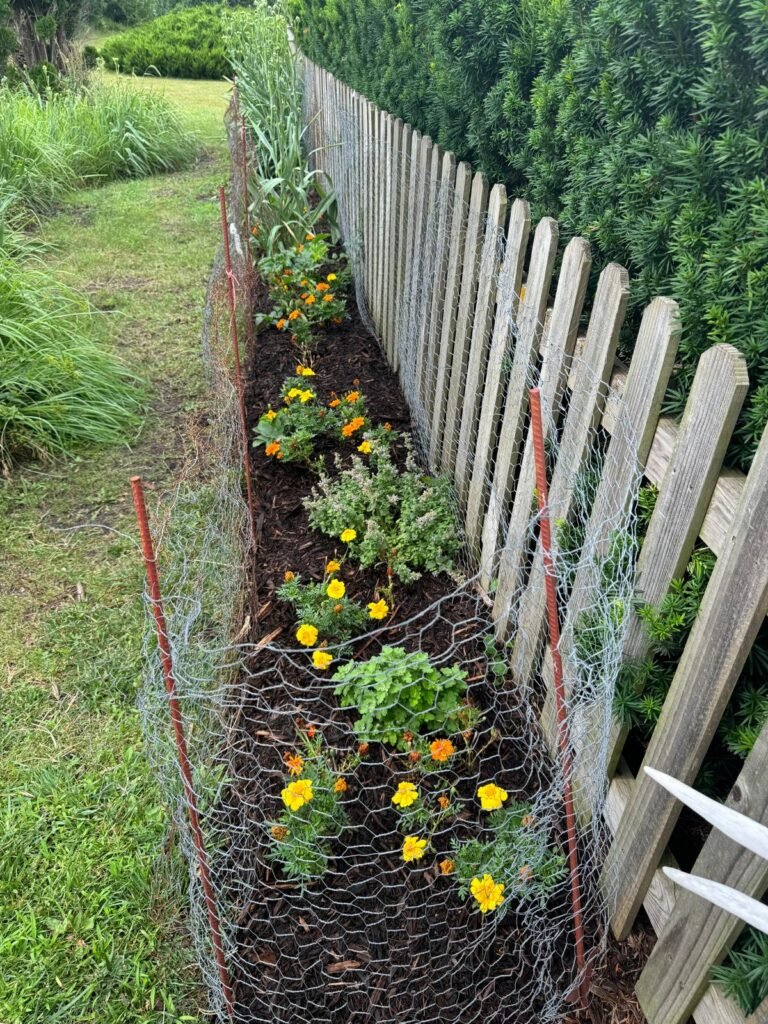 Jorge's Lawn and Landscaping LLC (115)