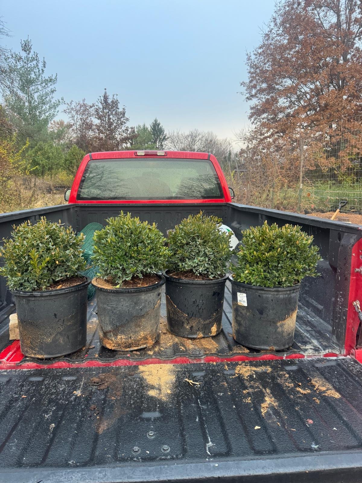 Jorge's Lawn and Landscaping LLC (77)