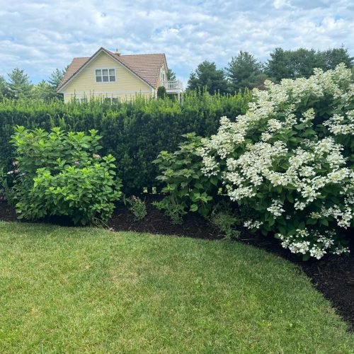 Jorge's Lawn and Landscaping LLC (109)