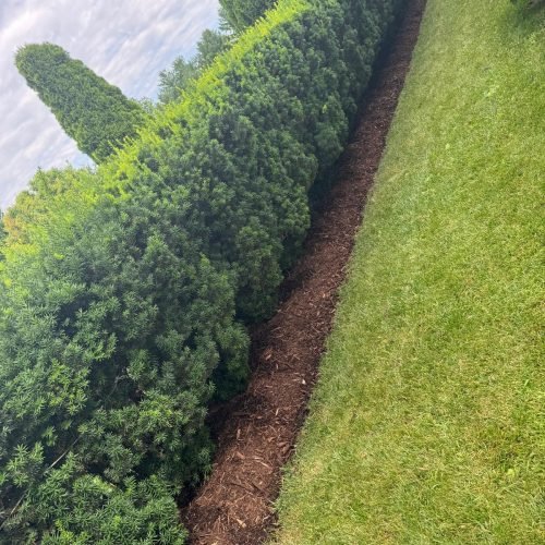 Jorge's Lawn and Landscaping LLC (111)