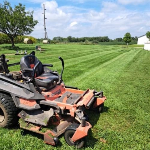 Jorge's Lawn and Landscaping LLC (16)