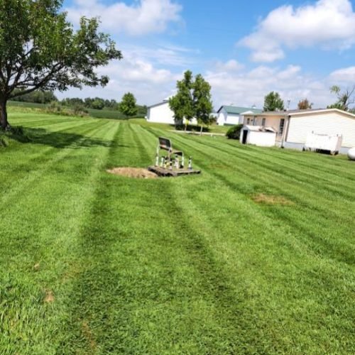 Jorge's Lawn and Landscaping LLC (17)