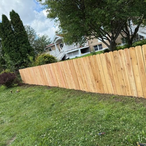 Jorge's Lawn and Landscaping LLC (21)