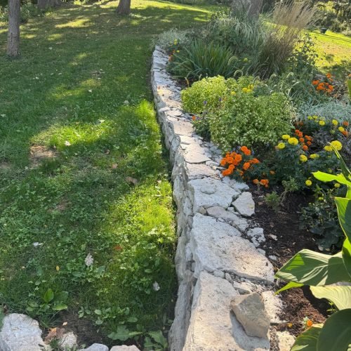 Jorge's Lawn and Landscaping LLC (46)