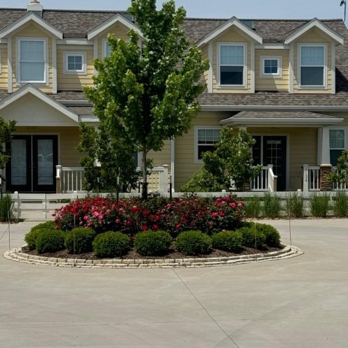 Jorge's Lawn and Landscaping LLC (87)