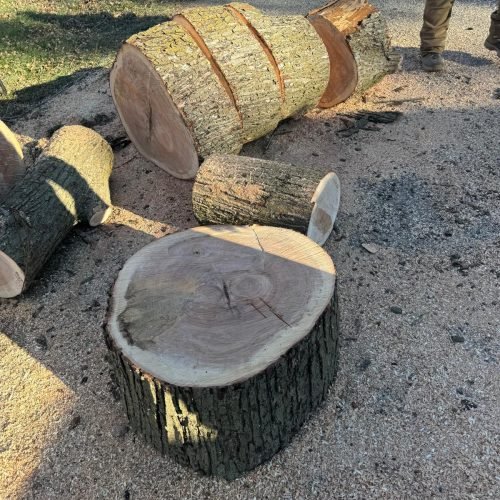 Jorge's Lawn and Landscaping LLC (96)